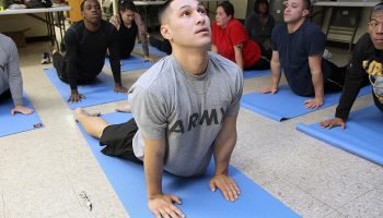 Federal agencies partner for military and veteran pain management research