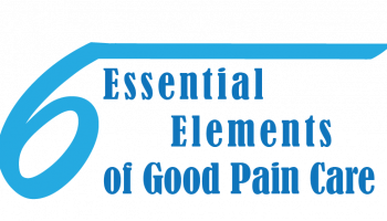 The Six Essential Elements of Good Pain Care