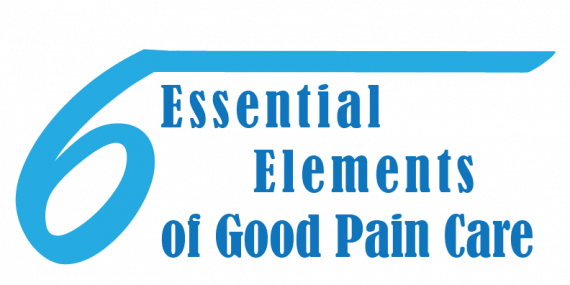The Six Essential Elements of Good Pain Care